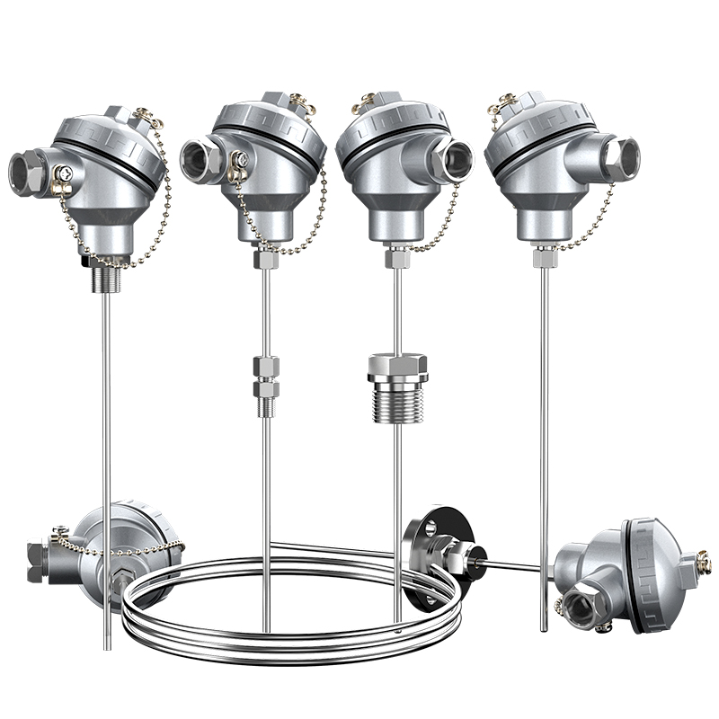 鎧裝熱電偶-阻10_http://www.sziloveyou.cn_溫度儀表_第1張