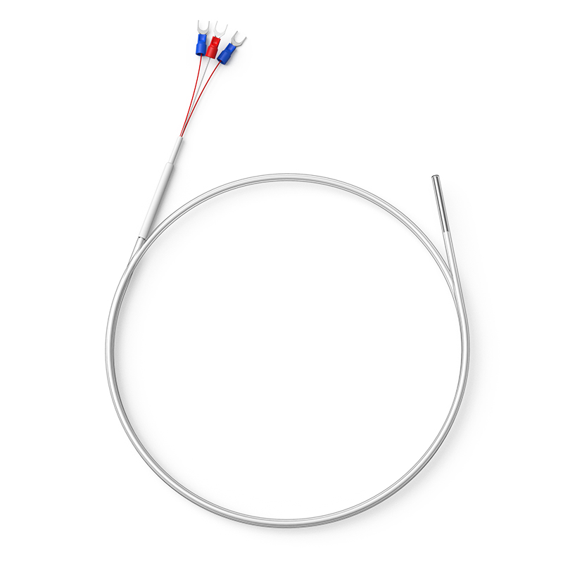 鐵氟龍熱電阻12_http://www.sziloveyou.cn_溫度儀表_第1張